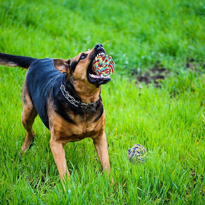 12pc Heavy Duty Dog Rope Toys Tough Tug of War Dog Toys, 100% Cotton Tug Toy for Boredom for Large/Medium/Small Dogs for Chewing, Playing, Teething, Teeth Cleaning, Tossing and Catching.