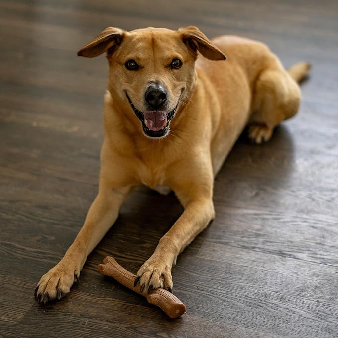 Petstages Outward Hound Super Dogwood Durable Dog Chew Toy, Small - Long Lasting Chew Sticks Made of Natural Wood - USA Made