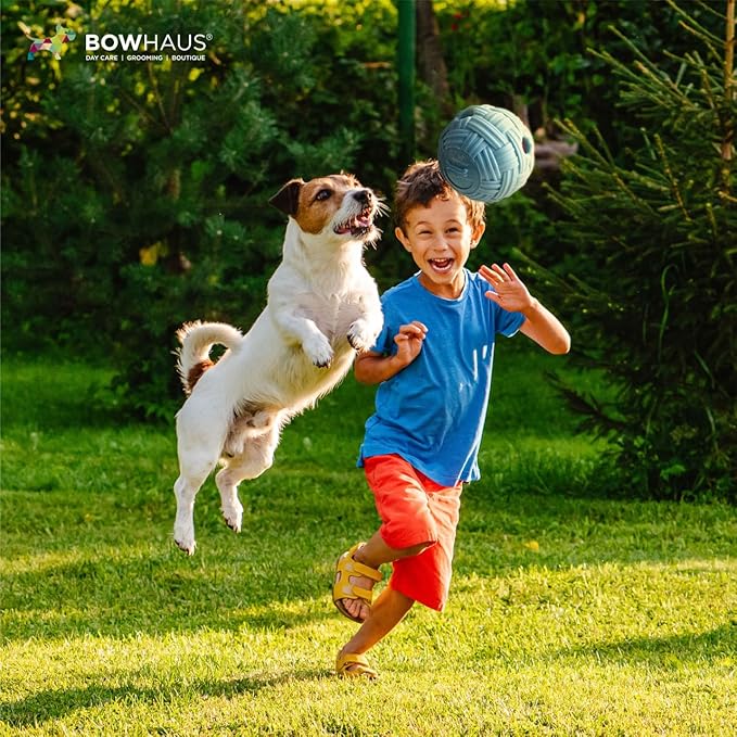 CAPHAUS Knitted Texture Wobble Giggle Ball for Dogs, 5.5 Inch Treat Dispensing Dog Exercise Toys, Non-Toxic Indestructible PVC Giggle Ball, Interactive Fun Squeaky Chew Toy for Indoor Outdoor Play