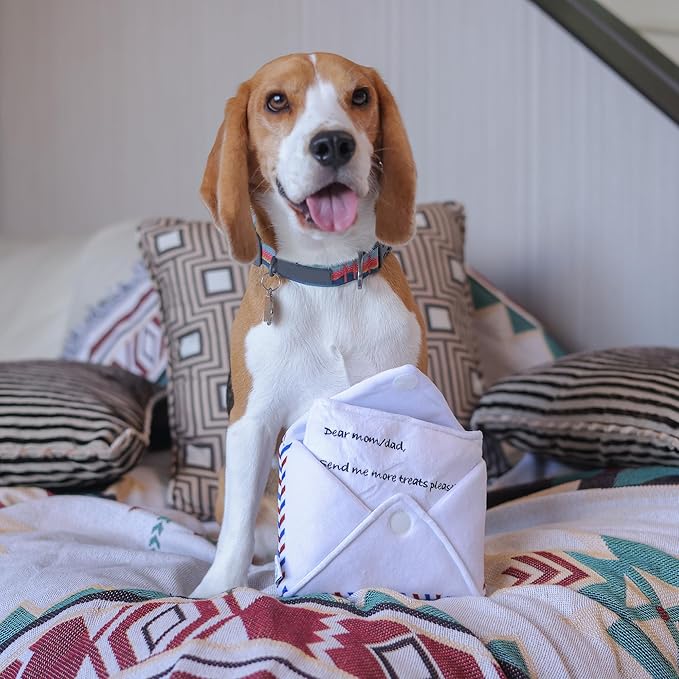 Hong Kong Airmail Soft Plush Nose-Work Squeaky Dog Toy - Durable & Cute 2-in-1 Envelope & Letter for Interactive Play, Extendable Cloth to Hide Food for Puzzle Fun, Small Medium Dogs