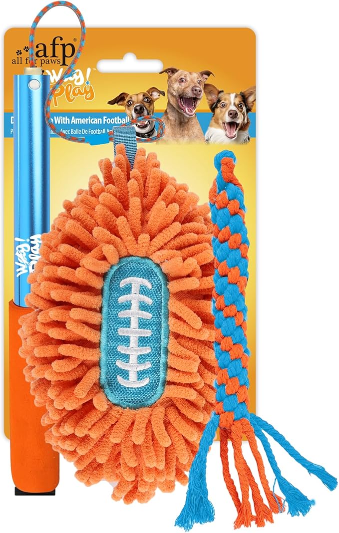 ALL FOR PAWS Interactive Flirt Pole Toy for Dogs Training & Exercise – Durable Teaser Wand with Luring Rope, Tug of War Chase Toy for Small to Medium Dogs