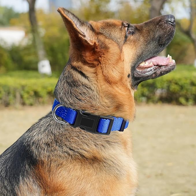 Dog Collar Adjustable Puppy Collar for Small Medium Large Dogs, Nylon Safety Collars with Leopard Print Night Visibility, Blue L