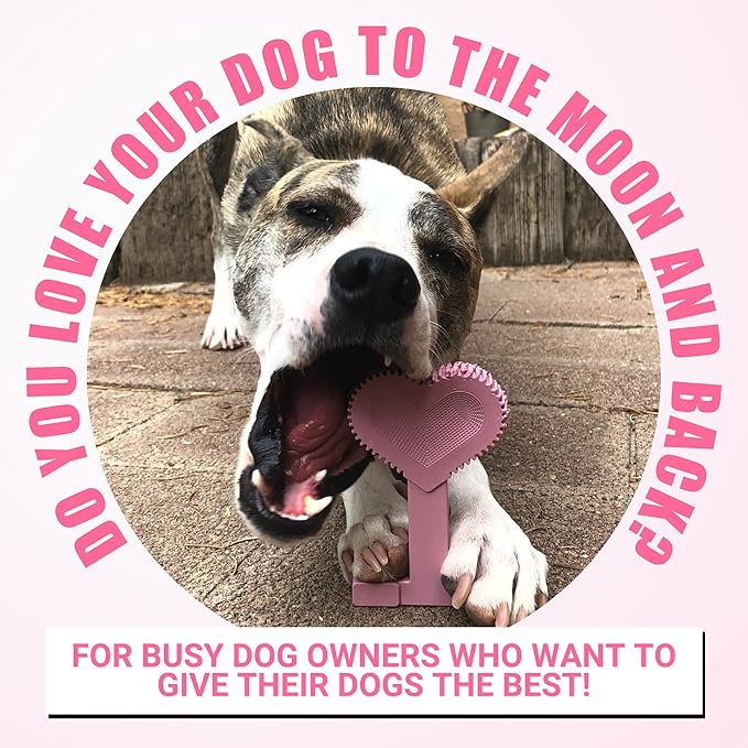 Bullibone Nylon Dog Chew Toy Nylon Bone - Improves Dental Hygiene, Easy to Grip Bottom, and Permeated with Flavor (Peppermint, Large - 3 Pack)