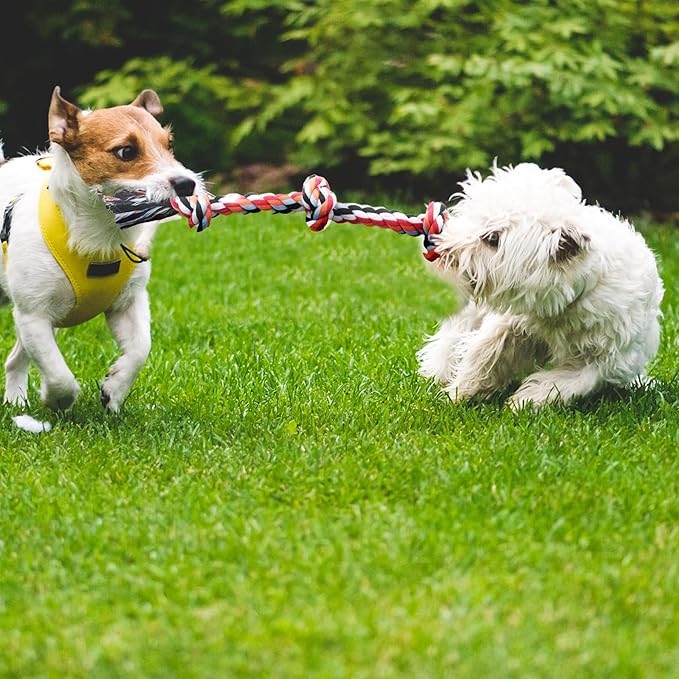 Dog Rope Toy 4 Pack - Puppy Teething Toys for Small Medium Breed - Indestructible Dog Chew Toys for Aggressive Chewers - Cotton Tug of War Dog Toys for Boredom, Teeth Clean