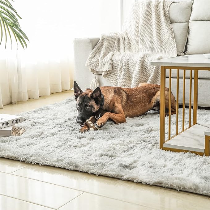 Nylon Dog Bones, Pack Tough Chew Toys for Large/Medium/Small Dogs, Beef Flavor, Teeth Cleaning, Training (2 Pcs, Fat Bones)