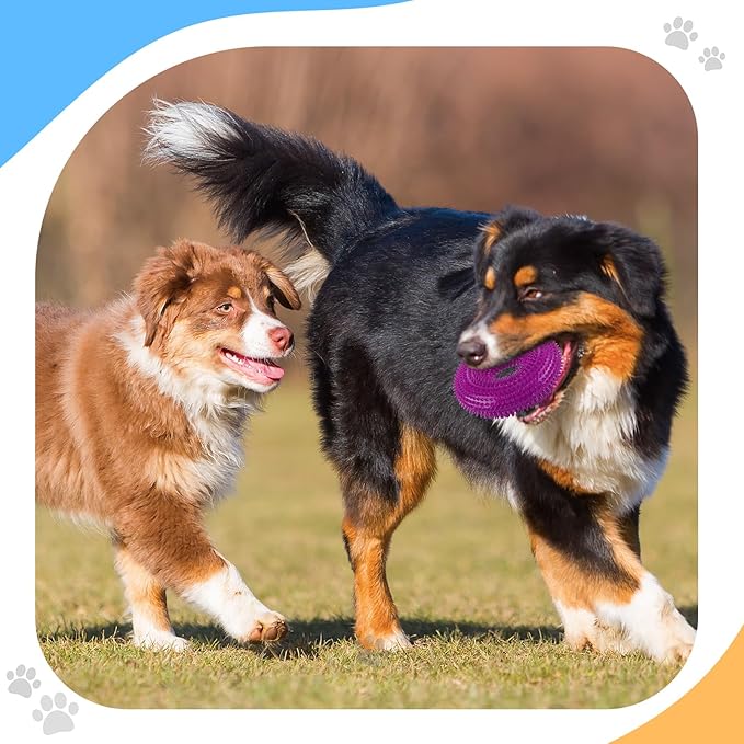 4 Pcs Spiky Squeaker Football Dog Toy for Medium Large Dogs Spiky Dog Balls Puppy Chew Toys for Aggressive Chewers Training Fetch(Fresh,Various Sizes)