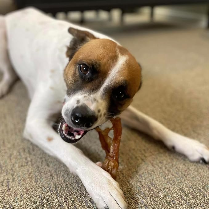 Pupford Turbo Beef Tendon Chews for Dogs & Puppies, All-Natural Dog Chew with Glucosamine for Joint Health, Long-Lasting Toy, Great for Teething (5 Count)