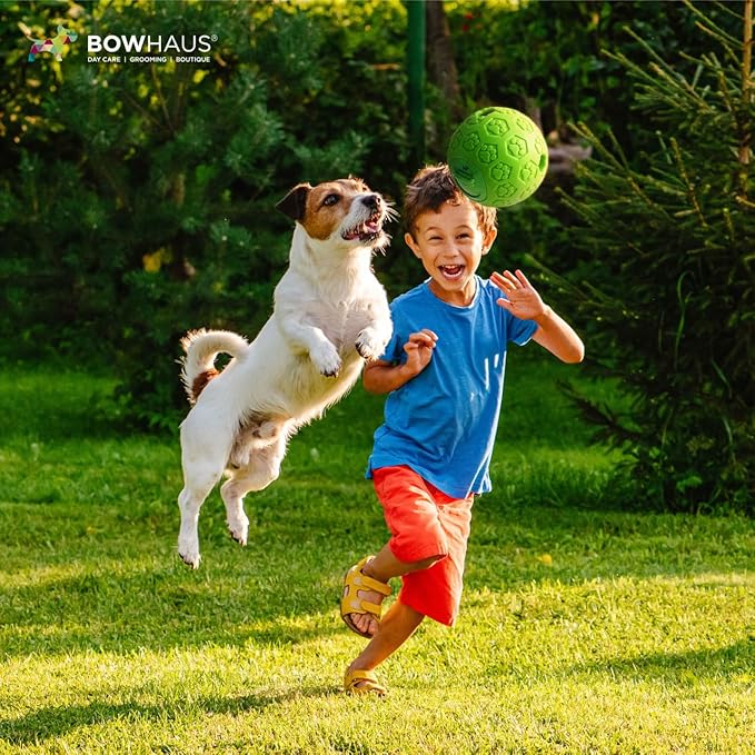 CAPHAUS Wobble Giggle Ball for Dogs, 5.5 Inch Treat Dispensing Dog Exercise Toys, Non-Toxic Indestructible PVC Giggle Ball, Interactive Fun Squeaky Chew Toy for Indoor Outdoor Play