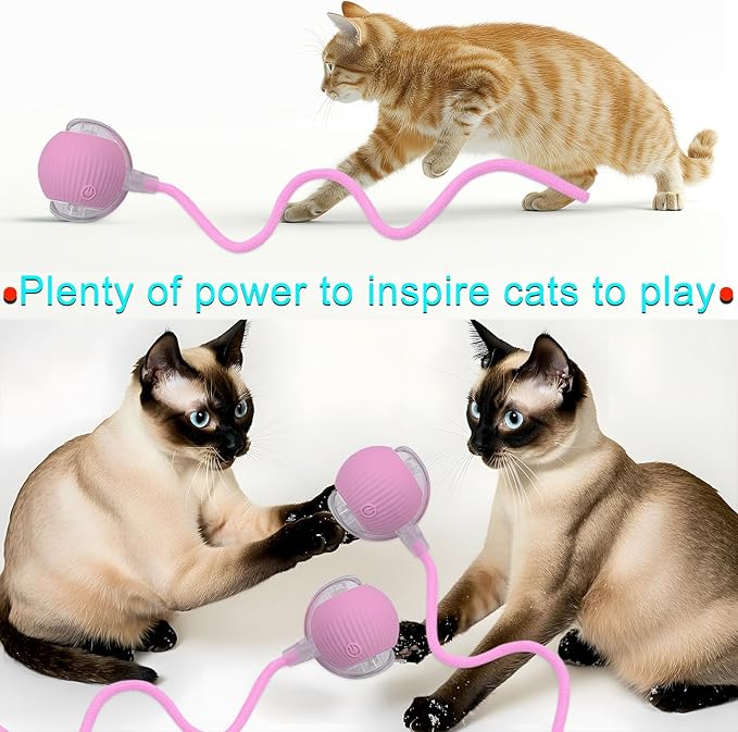 Interactive Cat Dog Toy Ball: Indoor Small Automatic Moving Smart Rolling Fun Pet Game with Led Light and String Tail for Motion Activated, Cute Kitten Puppy Present, Exercise Wheel Supplies (Pink)