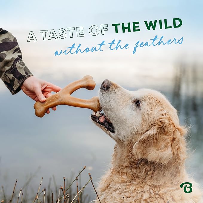 Benebone Wishbone Durable Dog Chew Toy for Aggressive Chewers, Duck, Made in USA, Large