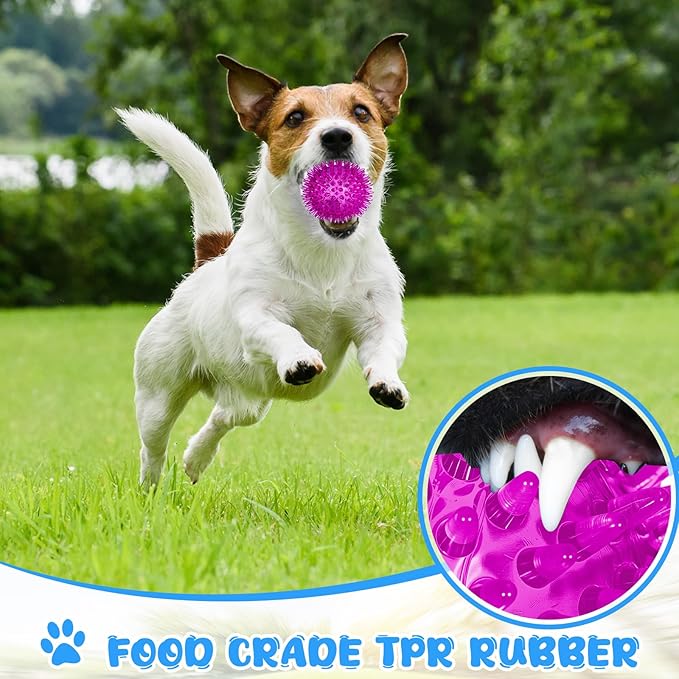 24 Pack Squeaky Dog Toys Balls 2.56'' Spiky Dog Balls Floating Pool TPR Puppy Fetch Chew Toy for Small Medium Doggy Aggressive Chewers Clean Teeth Training(Blue, Green, Orange, Purple, Red, Yellow)