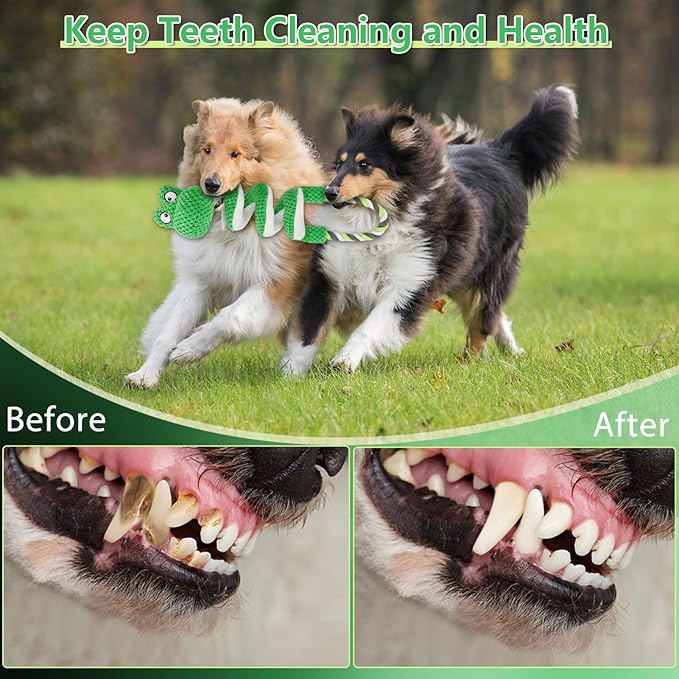 Interactive Squeaky Dog Toys with Pull Rope, Large Dog Tug of War Toy, Plush Puppy Chew Toys for Dental Health, Great for Small, Medium and Big Dogs