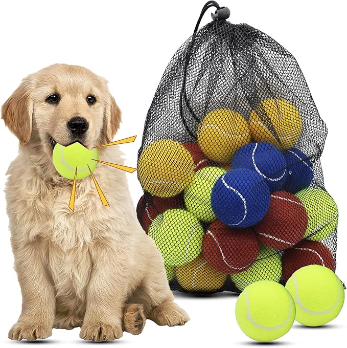 Magicorange Dog Tennis Balls, 20 Pack 2.5 inch Floatable Squeaky Tennis Balls for Fetch Exercise, Natural Rubber Squeaky Dog Balls Training Safe (Multicolor, 2.5inch)