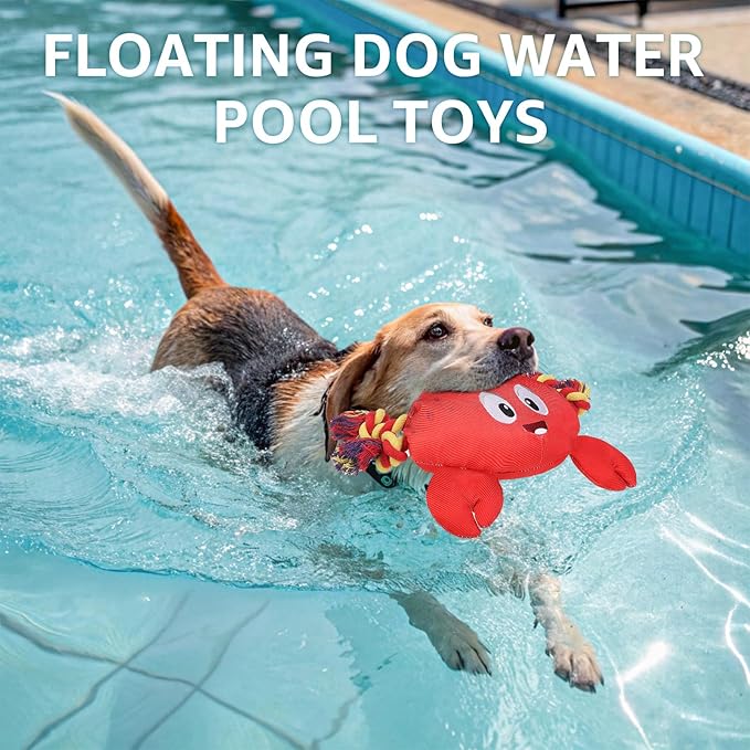 SCENEREAL Dog Water Toy for Small Medium Dogs- Floating Dog Toys Squeaky Toys for Pool Fetch, Crab Shape Durable Rope Interactive Pet Chew Toy Summer Outdoor Interactive Play
