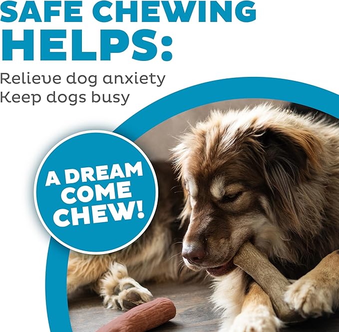 Outward Hound Dogwood Durable Dog Chew Toys, Real Wood & Mesquite, 2-Pack, Medium