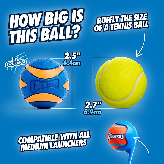 Chuckit! Ultra Squeaker Balls for Dogs, Floating Water Pet Toys, Durable Rubber Pet Toy, Bouncy Squeaky Fetch Balls For Dogs, Pack of 2, Medium (2.5")