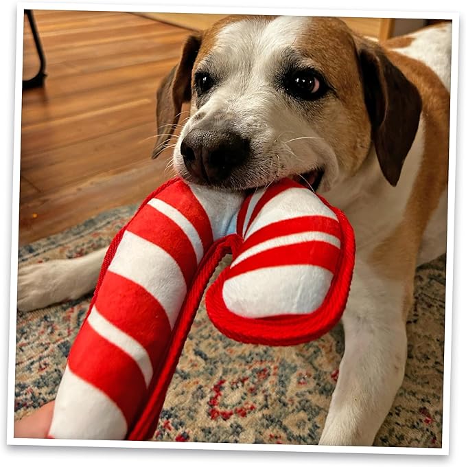 Doggijuana Tuffer Chewer Plush Dog Toy | Funny Dog Toy Plush with Juananip Catnip for Dogs | Calming Aid for Dogs | Interactive Squeaky Chew Toy for Play (Candy Cane)