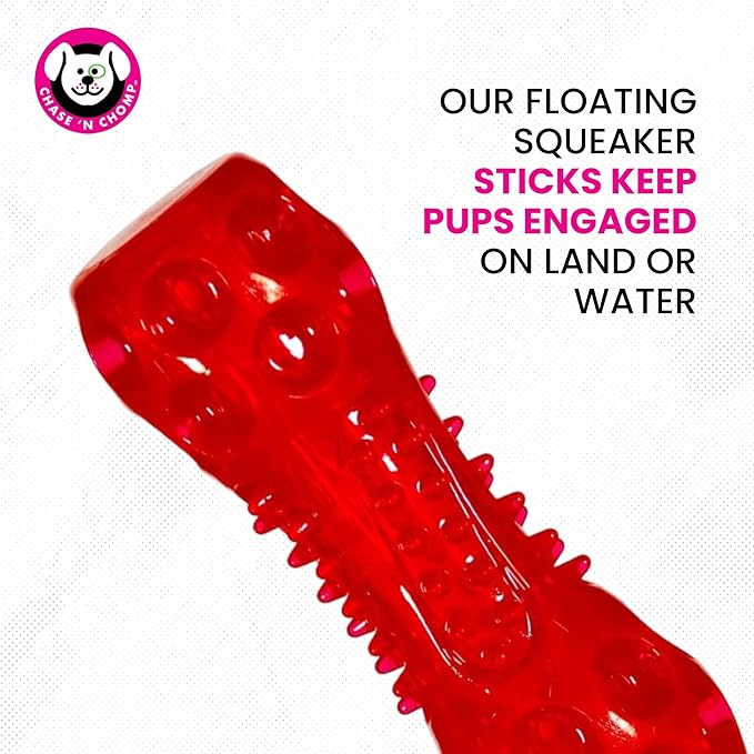 Chase 'n Chomp Squeak and Light Up Sticks Dog Toy, Mental & Physical Stimulation, Large, 2 Pack