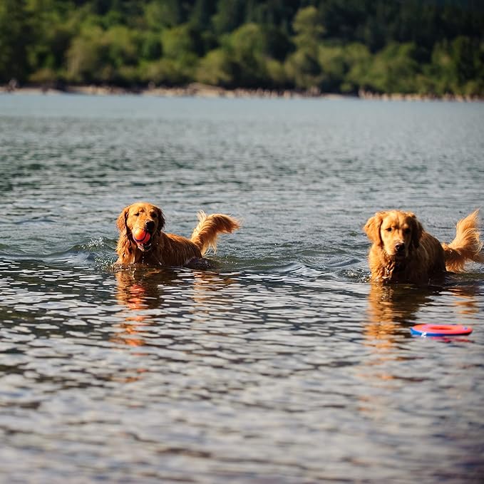 Chuckit! Paraflight Flying Disc Dog Toy - Water Floating Flyer - Durable Nylon Construction with Soft Rubber Edges - for Medium and Large Dogs - Size Large - 9.75" L x 9.75" W - Pack of 4