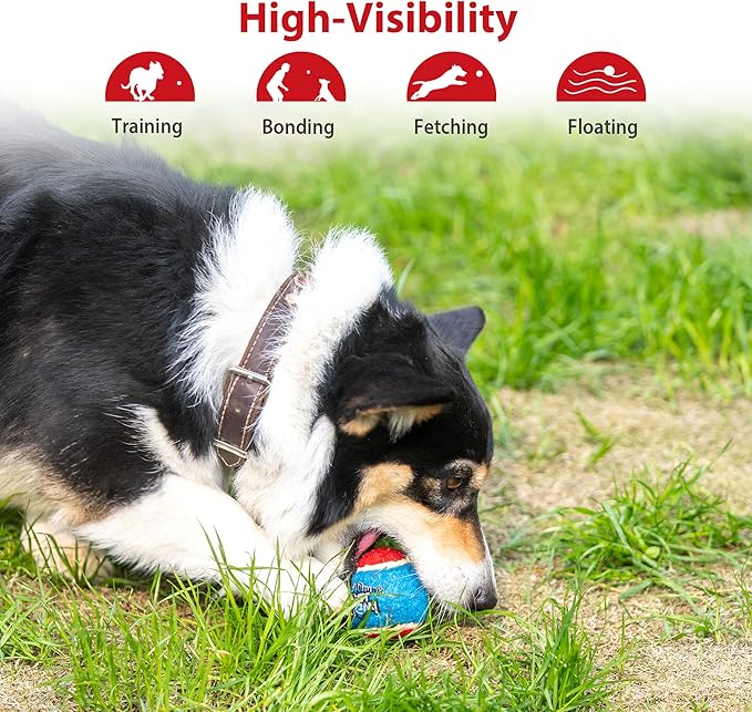 GiGwi Tennis Balls for Dogs, Squeaky Dog Tennis Balls for Exercise, High Bouncy Dog Balls Bright Colors 2.5 Inches, Interactive Funny Dog Toys for All Breeds of Dogs Indoor & Outdoor Dog Games, 3 Pack