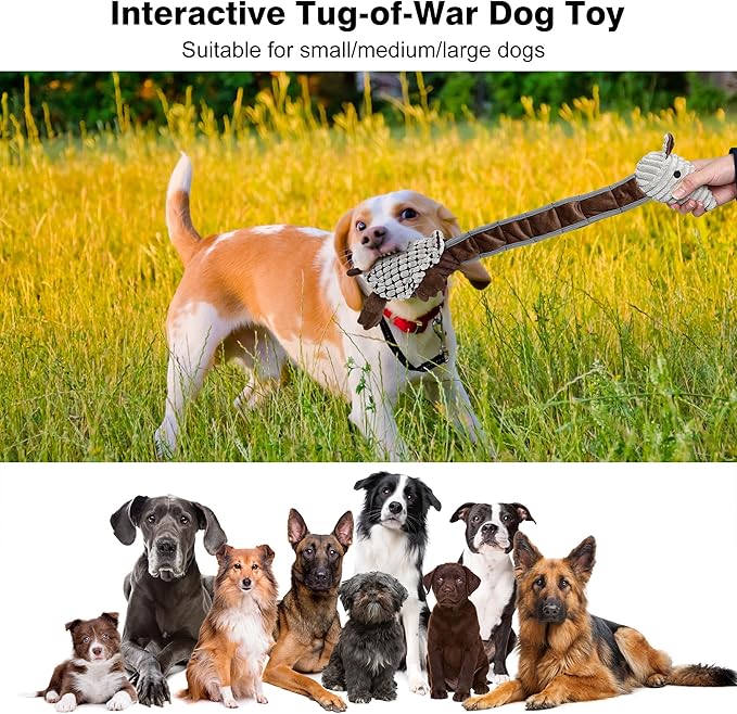 Dog Toys for Large Dogs Plush Dog Squeaky Toys to Keep Them Busy Tug of War Dog Toys for Medium and Small Dogs Made of Cotton Material and Crinkle Paper Stuffed Animals for Dogs（Armadillo