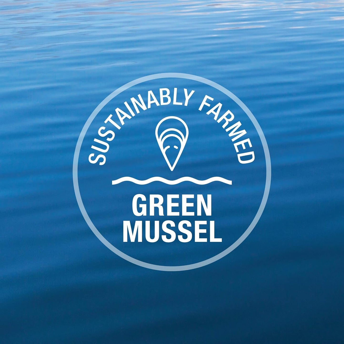 K9 Naturals, Freeze-Dried Single Ingredient Dog Treats, High-Value, Low-Calorie Protein Bites for Active Dogs, Healthy Dog Training Treats, Grain-Free Reward, Green Mussles, 1.76oz