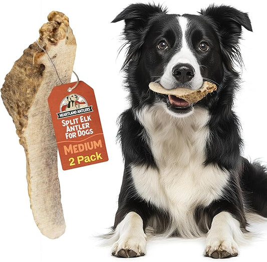 Heartland Elk Antlers for Dogs - Daily Dental Care Chews for Aggressive Chewers to Reduce Plaque & Prevent Destructive Behavior (Split, 5–6", Medium, 2-Pack, Grade A, USA Made)