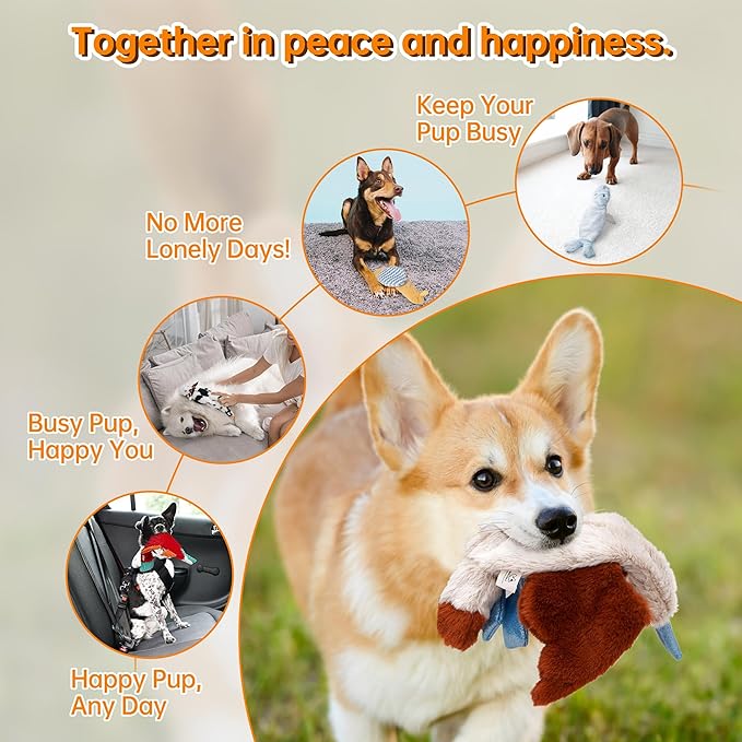 Nocciola Dog Toys 5-Pack, Stuffing-Free Squeaky Crinkle Plush Toys for Small Medium Large Dogs, Inspired by Rare Land, Sea & Air Animals, Durable Chew Toys for Boredom & Anxiety Relief