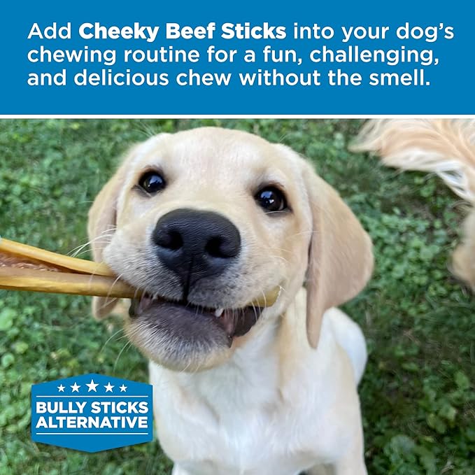 Best Bully Sticks Cheeky Beef Treats - 6 Inch 12 Count (Pack of 1) - Single Ingredient, 100% Grass-Fed, USA Packed, Long-Lasting, Odor Free Alternative to Bully Sticks