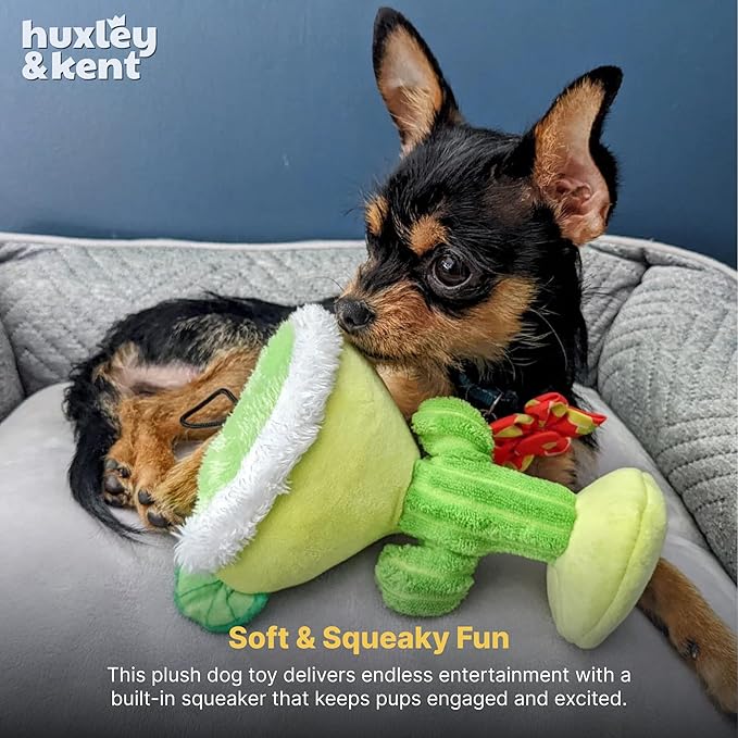 Huxley & Kent Plush Dog Toy w/Squeaker - Power Plush Stuffed Toy for Dogs - Cute, Funny & Tough Toys for Small & Large Dogs - Margarita Loco, Small
