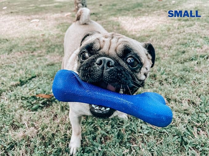 Tuff Pupper SuperChewy Tough Dog Bone Toy | Lifetime Replacement | Strong Natural Rubber | Great Dog Fetch Toy | Chew Toys for Dogs | Ultra Durable Chew Toys for Moderate Chewers | Large Breed Tested