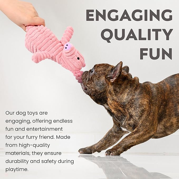 5 Pack Squeaky Plush Dog Toy Assortment Cute Animal Dog Toy Value Bundle Puppy Toys Dog Toys for Small Medium Large Dogs Teething Chew Toys