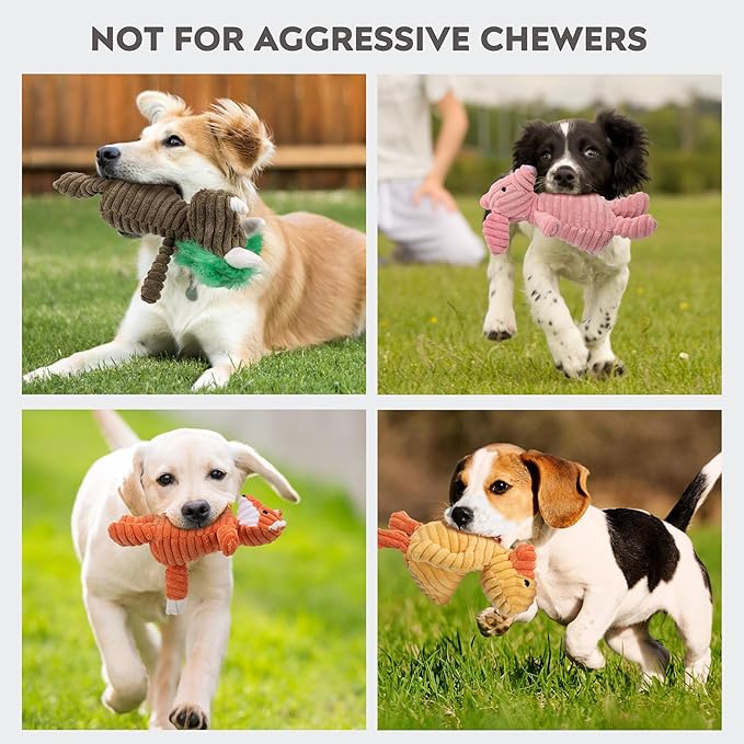 5 Pack Squeaky Plush Dog Toy Assortment Cute Animal Dog Toy Value Bundle Puppy Toys Dog Toys for Small Medium Large Dogs Teething Chew Toys