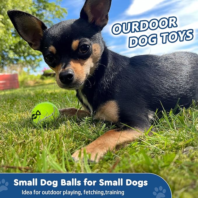 Squeaky Tennis Balls for Dogs - 12 Pack 2.0'' Durable Non-Toxic Outdoor Dog Toys Balls with Mesh Bag, SGS Certified, Colorful Fetch Toys,Small Breeds