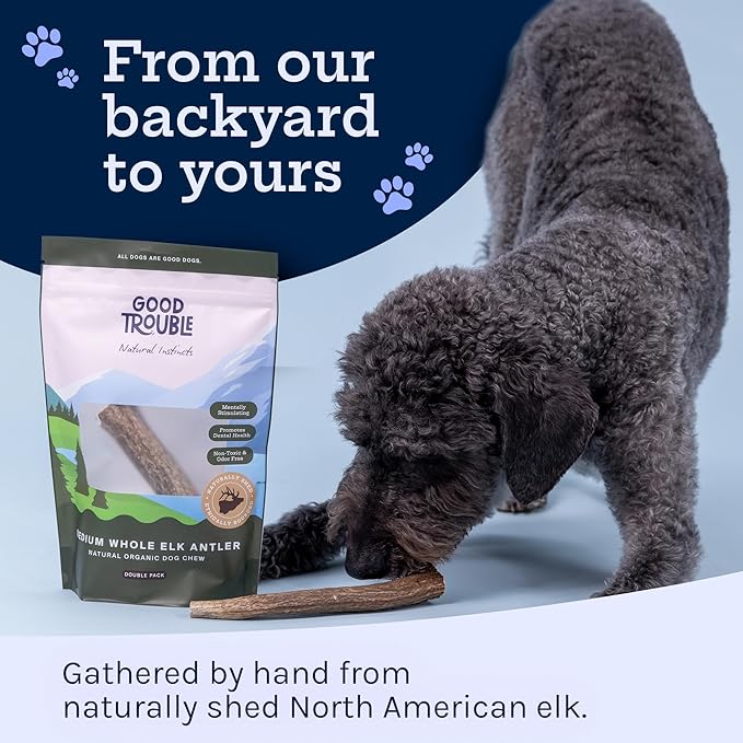 Good Trouble Premium Elk Antlers for Small Dogs – 2 Pack Split - All-Natural, Shed Antler Chews for Dental Health & Calming - Durable Dog Bones - Cruelty-Free, North American Sourced