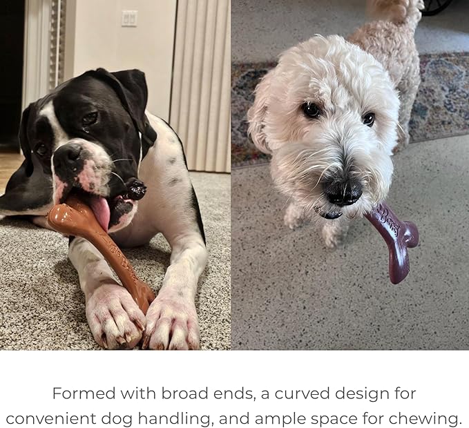 2-Pack Non-Toxic Dog Toys - Sustainable Roasted Peanut Butter Flavored Dog Chew Toys for Aggressive Chewers - Plant-Based Bioplastic Pet Toys - Made in The USA (Mighty)