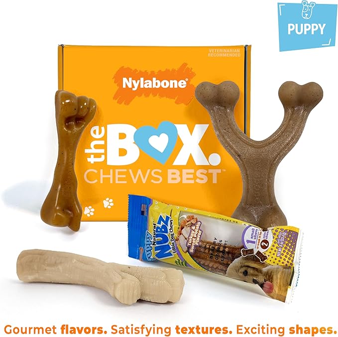 Nylabone Puppy Gift Box, Includes 3 Strong Puppy Chew Toys and 1 Natural Treat Bone for Puppies, Gifts for Puppies, Small Dogs - Up to 25 lbs., 4 Pack