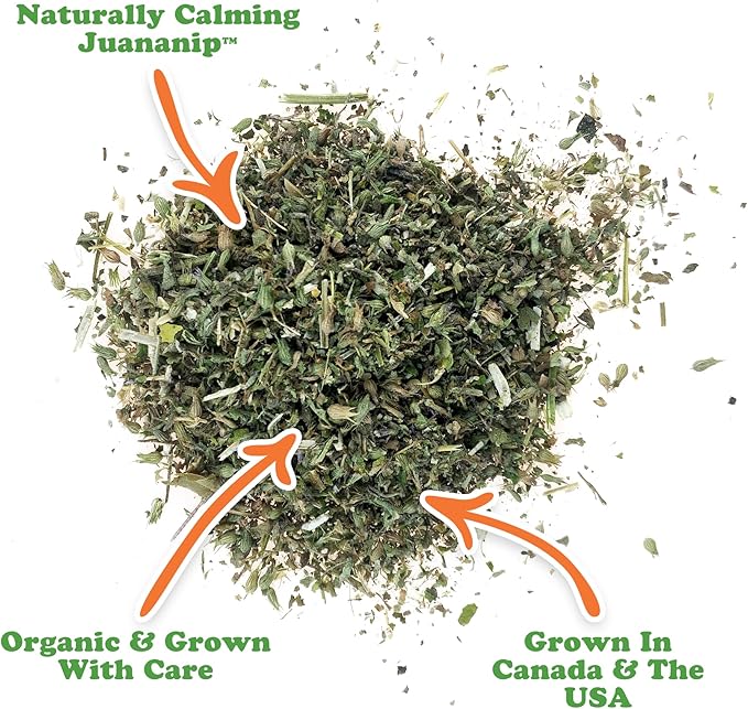 Doggijuana Refillable Juananip Toy Bundle | Pizza Bundle | Funny Dog Toy Plush with Catnip and Refill | Calming Aid for Dogs | Interactive Chew Toy for Play