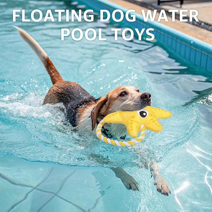 SCENEREAL Dog Water Toy for Small Medium Dogs- Floating Dog Toys Squeaky Toys for Pool Fetch, Starfish Shape Durable Rope Interactive Pet Chew Toy Summer Outdoor Interactive Play