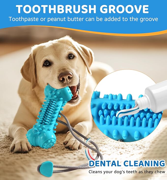 Dog Chew Toy for Aggressive Chewers, Durable Dental Cleaning Treat Toy, Food Dispensing Interactive Toy for Small, Medium & Large Dogs, Teeth Cleaning, Keep Busy, Tough Natural Rubber (Green)