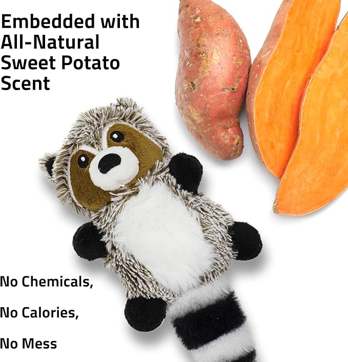 Playology Plush Toys for Dogs | Stuffed Animal Raccoon | Sweet Potato Scented Toy for Small Dogs