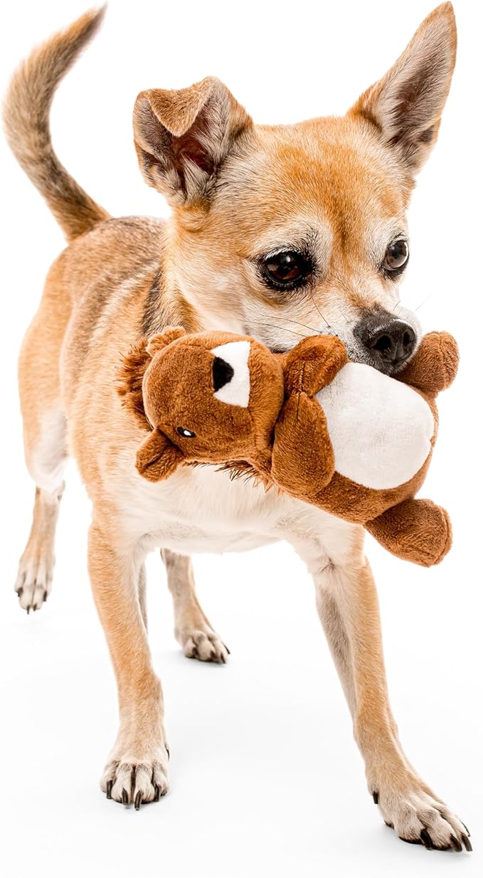 Playology Plush Toys for Dogs | Stuffed Animal Squirrel | Peanut Butter Scented for Small Dogs