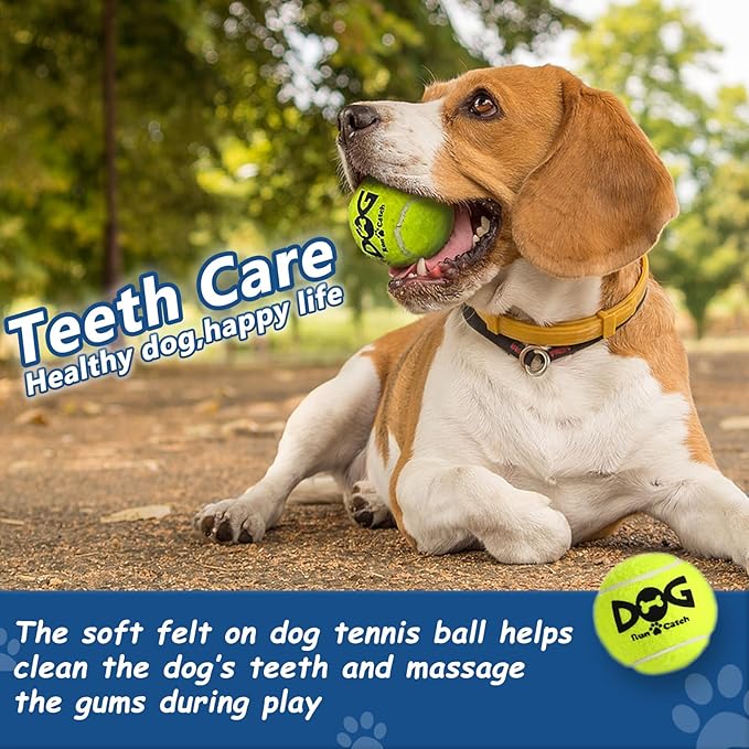 Squeaky Tennis Balls for Dogs - 12 Pack 2.5'' Durable Non-Toxic Outdoor Dog Toys Balls with Mesh Bag, SGS Certified, Colorful Fetch Toys, Medium Large Breeds