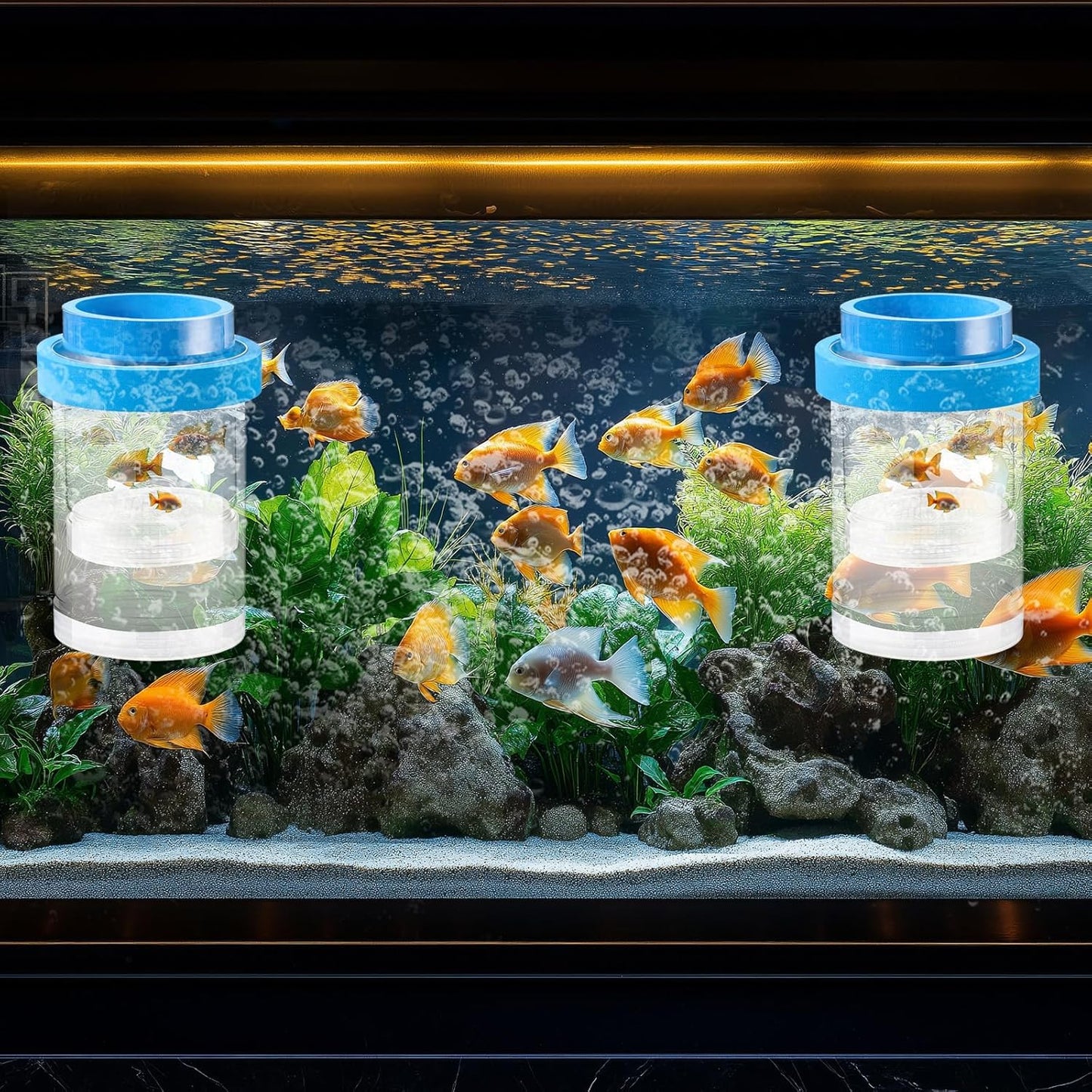 2 Pcs Breeder Box for Fish Tank Aquarium Breeder Separation Net Breeding Box with Suction Cup for Small Fish Shrimp Clownfish Guppy