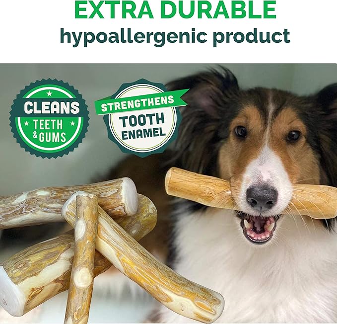 LuckyTail Wooden Stick - Coffee Tree Dog Chew Toy for Aggressive Chewers (Medium (2 Count))