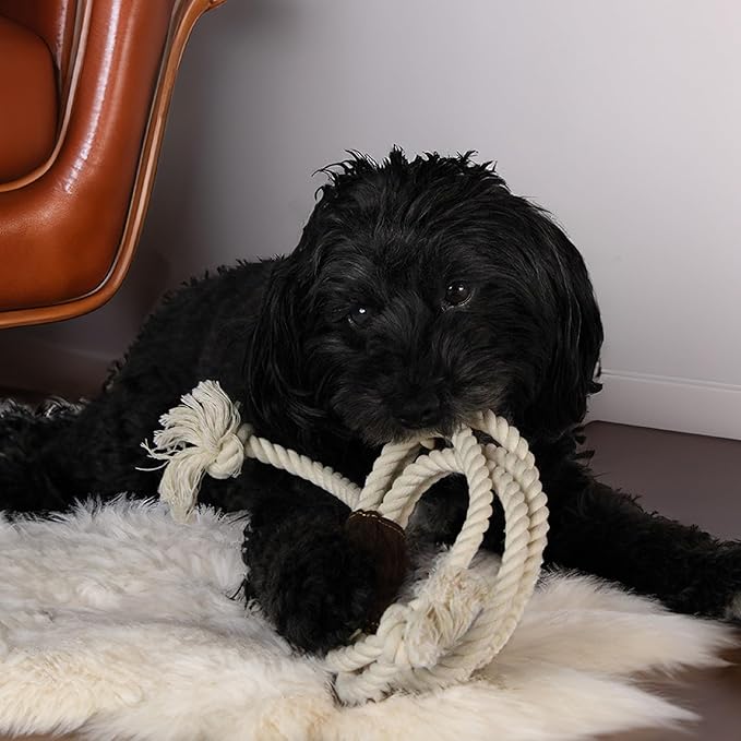 design LAB, Inc. Official Yellowstone Merchandise | Indoor Dog Toy Bundle Variety Gift Set | Lasso Rope, Plush Squeaky Brown Cow, and Cowboy Toy Hat with Tug Rope