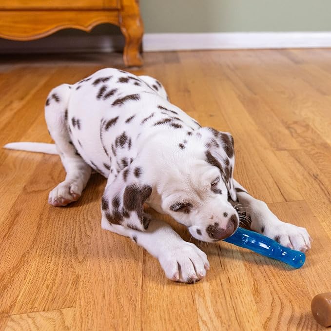 Outward Hound Dogwood Puppy Durable Dog Chew Toys, Real Wood & Teething Bone, 2-Pack, Small