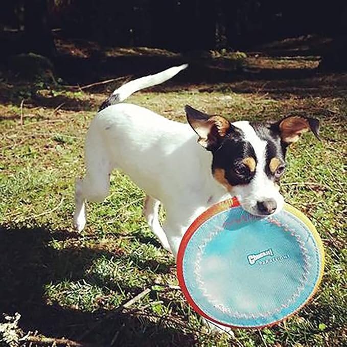 Chuckit! Paraflight Flying Disc Dog Toy - Water Floating Flyer - Durable Nylon Construction with Soft Rubber Edges - for Medium and Large Dogs - Size Large - 9.75" L x 9.75" W - Pack of 4