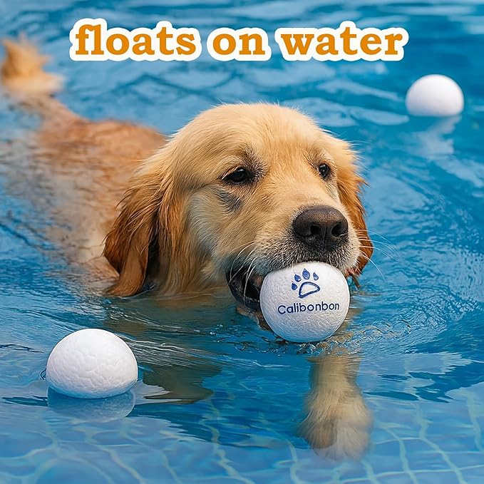 Durable Dog Balls - Tough Chew-Resistant TPU Fetch Toys for Aggressive Chewers, Puppies to Large Breeds - Floating Water & Dental Teeth Cleaning Balls (2.5 Inch,3-Pack, White)