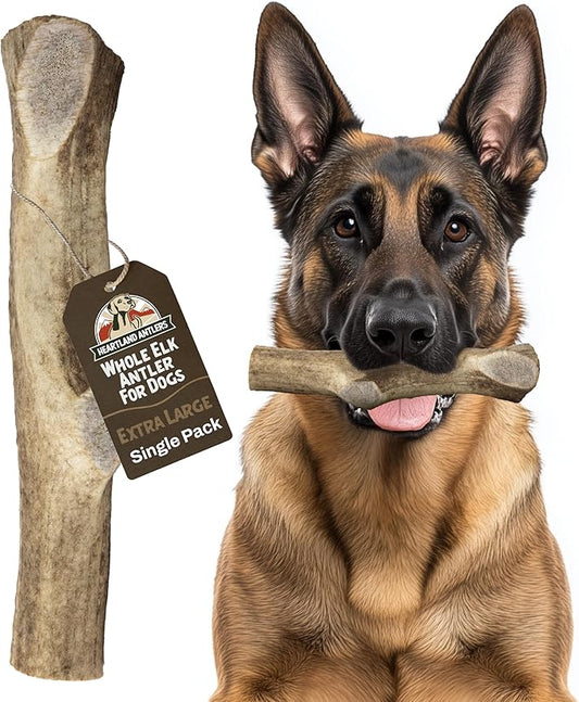 Heartland Elk Antlers for Dogs - Daily Dental Care Chews for Aggressive Chewers to Reduce Plaque & Prevent Destructive Behavior (Splinter Free, Whole, 8+", X-Large, 1-Pack, Grade A, USA Made)